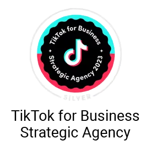 Readyplanet TikTok for Business Strategic Agency Silver